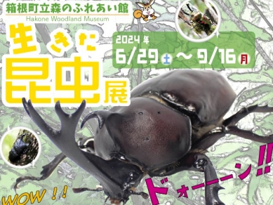 ＜8月23日更新・「湯本夢夏祭り」延期決定＞箱根町の8月のイベントをご紹介します♪